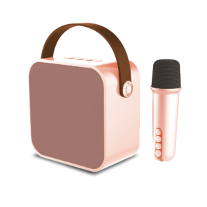 https://misterlink.com.ar/wp-content/uploads/2025/01/Parlante-Mini-Karaoke-Box-1-300x300.png